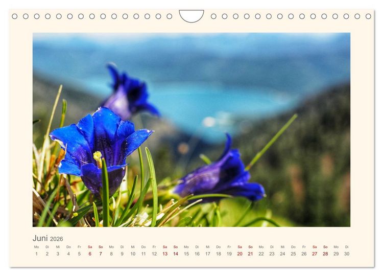 Produktbild: Alpen Blick (Wandkalender 2026 DIN A4 quer), CALVENDO Monatskalender