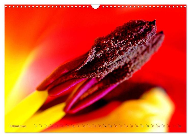Produktbild: DEEP INSIDE - Bl&uuml;tenmakros (Wandkalender 2026 DIN A3 quer), CALVENDO Monatskalender