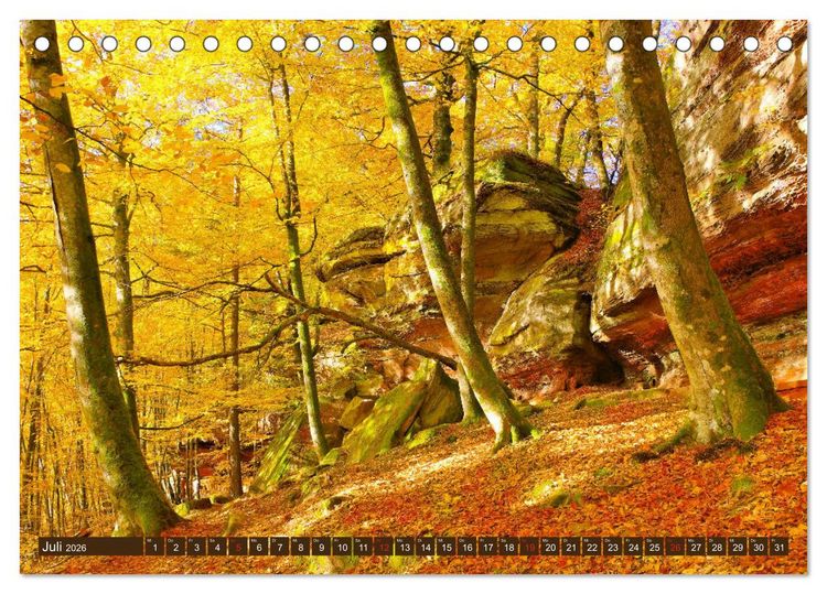 Produktbild: Der Altschlossfelsen - Gr&ouml;&szlig;te Felsformation der Pfalz im herbstlichen Farbspiel (Tischkalender 2026 DIN A5 quer), CALVENDO Monatskalender