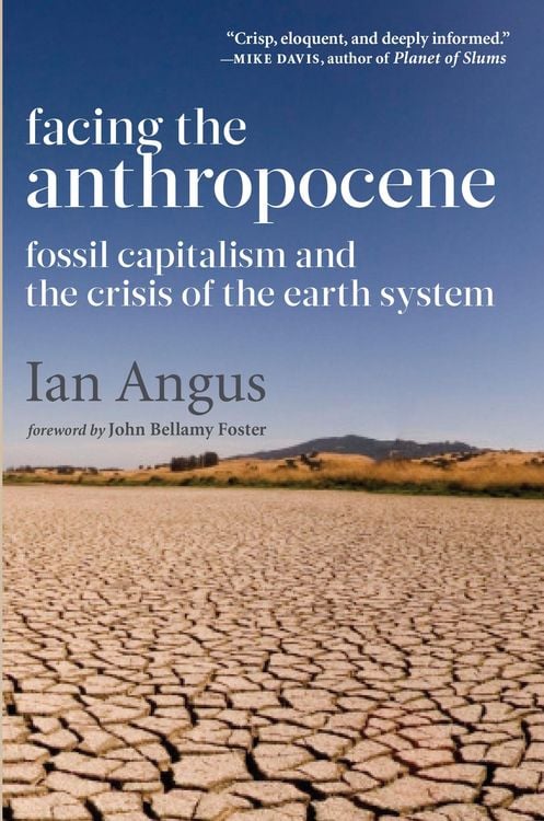 Produktbild: Facing the Anthropocene