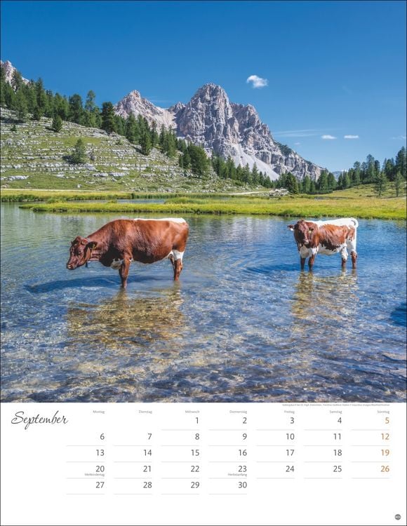 Produktbild: Sch&ouml;nes Alpenland Posterkalender 2027