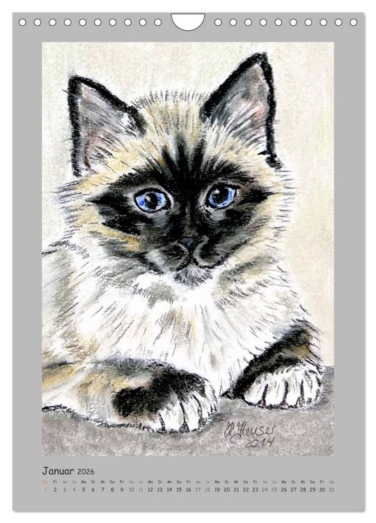 Produktbild: PortraiTierART Samtpf&ouml;tchen (Wandkalender 2026 DIN A4 hoch), CALVENDO Monatskalender