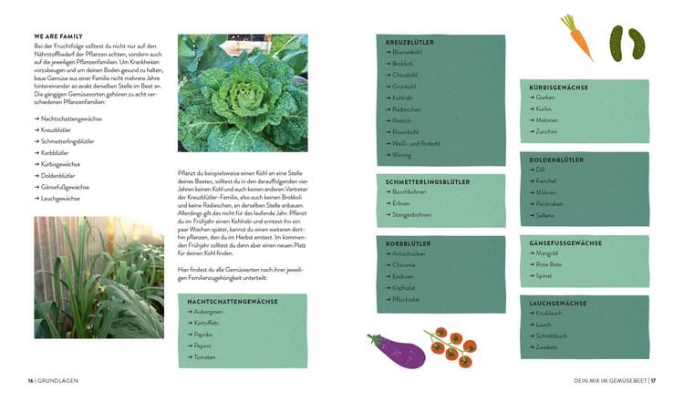 Produktbild: Keine Zeit zu g&auml;rtnern &ndash;&nbsp;Gem&uuml;se l&auml;nger ernten in Gew&auml;chshaus, Fr&uuml;hbeet & Co.
