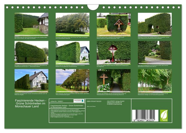 Produktbild: Faszinierende Hecken - Gr&uuml;ne Sch&ouml;nheiten im Monschauer Land (Wandkalender 2026 DIN A4 quer), CALVENDO Monatskalender