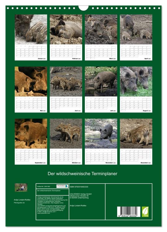 Produktbild: Der wildschweinische Terminplaner (Wandkalender 2026 DIN A3 hoch), CALVENDO Monatskalender