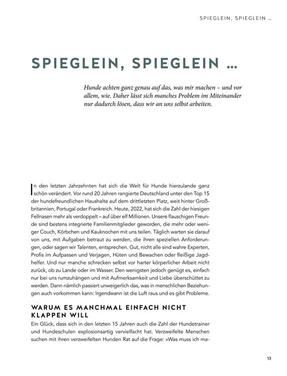 Produktbild: Das Geheimnis der Spiegelung