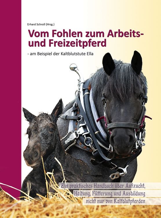 Produktbild: Vom Fohlen zum Arbeits- und Freizeitpferd - am Beispiel der Kaltblutstute Ella