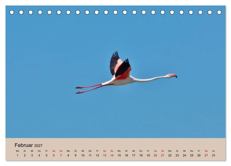 Produktbild: Flamingo und Co - Faszinierende Vogelwelt S&uuml;dfrankreichs (Tischkalender 2027 DIN A5 quer), CALVENDO Monatskalender