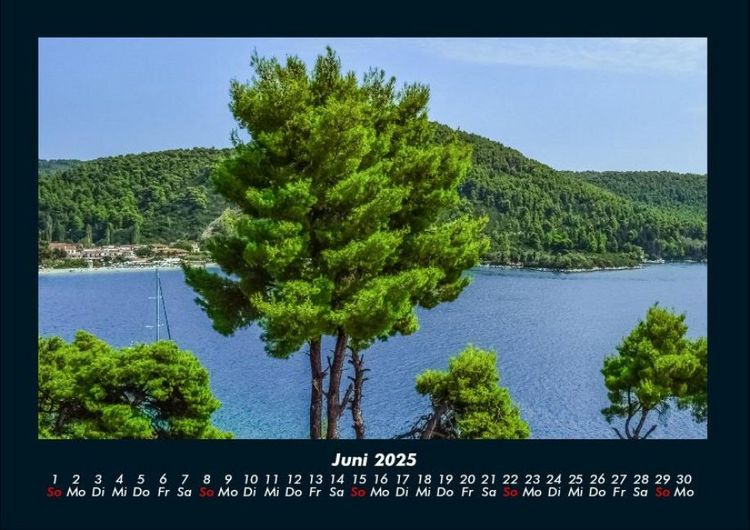 Produktbild: B&auml;ume 2025 Fotokalender DIN A4