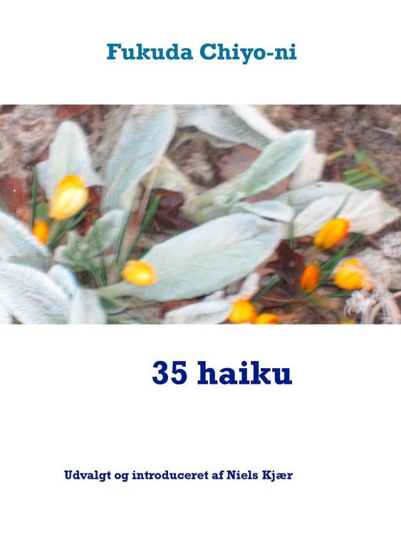 Produktbild: 35 haiku