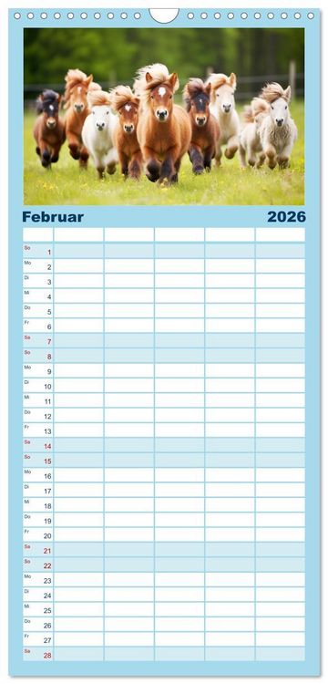 Produktbild: Familienplaner 2026 - Kleine Pferde. Mini-Ponys zum verlieben mit 5 Spalten (Wandkalender, 21 x 45 cm) CALVENDO
