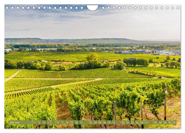 Produktbild: Kultur im Rheingau (Wandkalender 2026 DIN A4 quer), CALVENDO Monatskalender