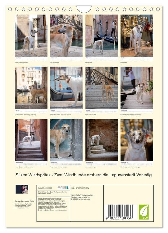 Produktbild: Silken Windsprites - Zwei Windhunde erobern die Lagunenstadt Venedig (Wandkalender 2026 DIN A4 hoch), CALVENDO Monatskalender
