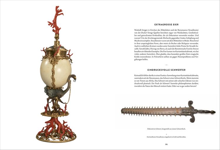 Produktbild: Wunderkammer