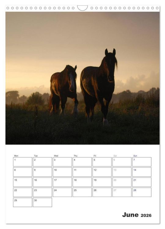 Produktbild: Shire Horses The Gentle Giants (Wall Calendar 2026 DIN A3 portrait), CALVENDO 12 Month Wall Calendar