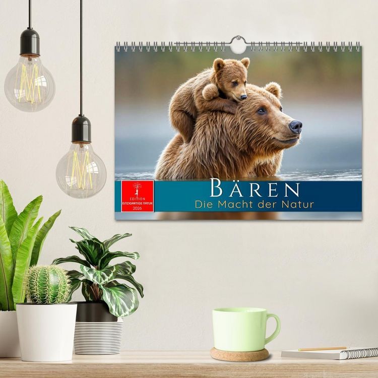 Produktbild: B&auml;ren - Die Macht der Natur (Wandkalender 2026 DIN A4 quer), CALVENDO Monatskalender