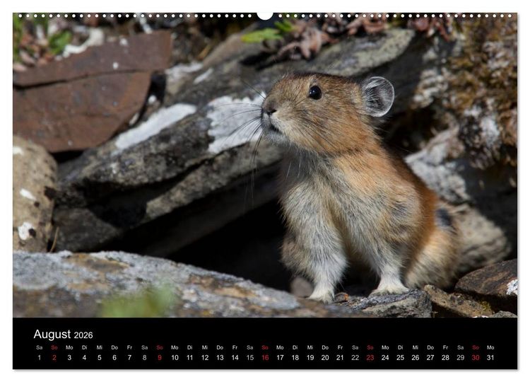 Produktbild: Sibirien- Impressionen von der Lena (hochwertiger Premium Wandkalender 2026 DIN A2 quer), Kunstdruck in Hochglanz