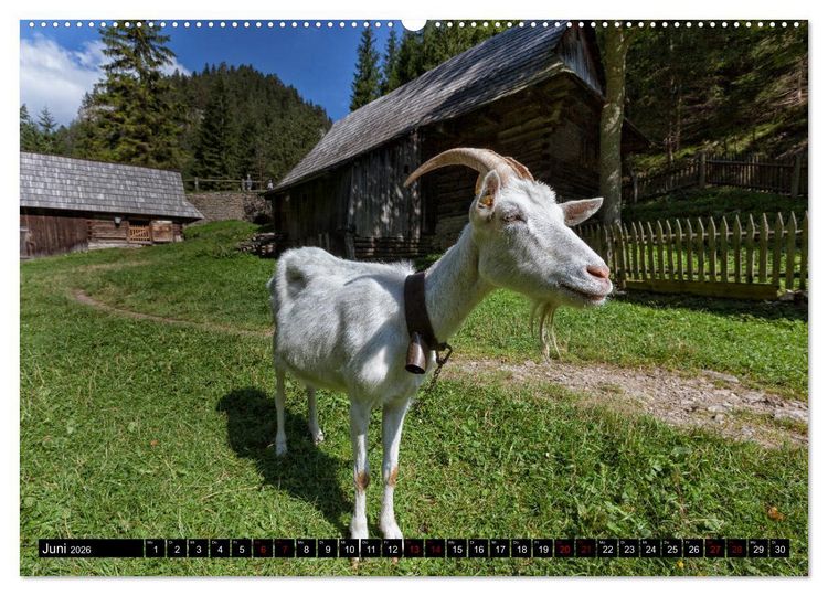 Produktbild: Slowakei - Reise durch das wilde Land (Wandkalender 2026 DIN A2 quer), CALVENDO Monatskalender