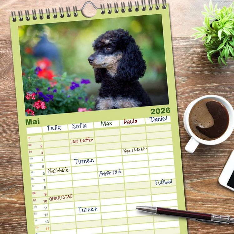Produktbild: Familienplaner 2026 - Pudel mit 5 Spalten (Wandkalender, 21 x 45 cm) CALVENDO