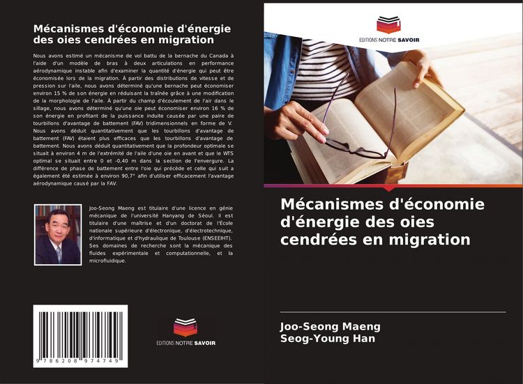 Produktbild: M&eacute;canismes d'&eacute;conomie d'&eacute;nergie des oies cendr&eacute;es en migration