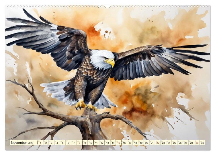 Produktbild: Wei&szlig;kopfseeadler - Majest&auml;tische V&ouml;gel (hochwertiger Premium Wandkalender 2026 DIN A2 quer), Kunstdruck in Hochglanz