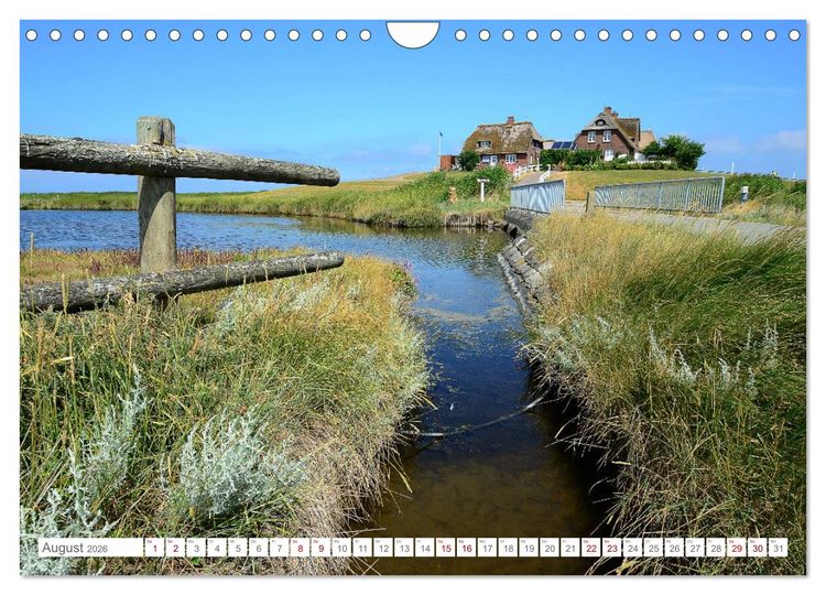 Produktbild: Sommertage auf Hallig Hooge (Wandkalender 2026 DIN A4 quer), CALVENDO Monatskalender
