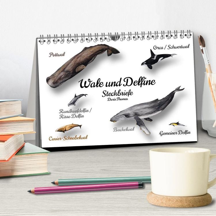 Produktbild: Wale und Delfine Steckbriefe (Tischkalender 2026 DIN A5 quer), CALVENDO Monatskalender
