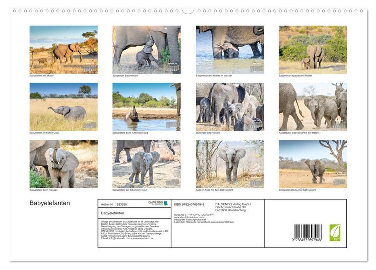 Produktbild: Babyelefanten (hochwertiger Premium Wandkalender 2026 DIN A2 quer), Kunstdruck in Hochglanz