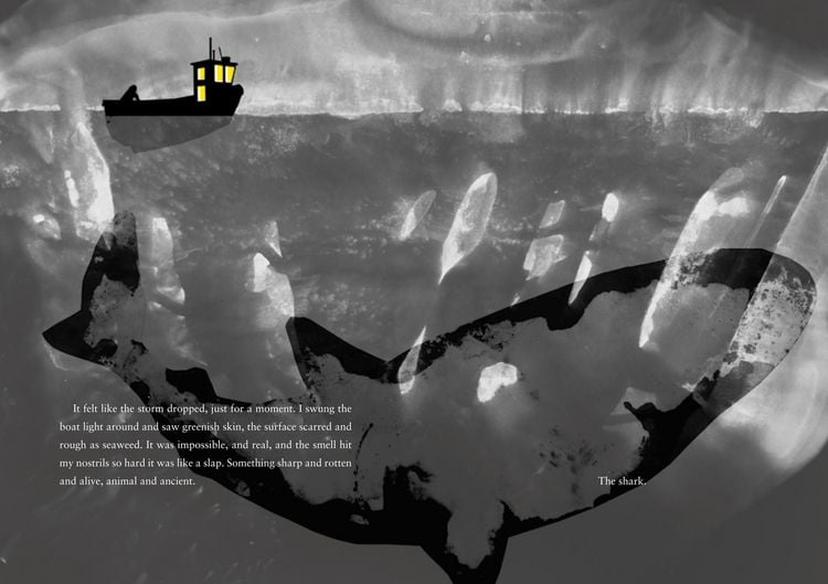 Produktbild: Julia and the Shark