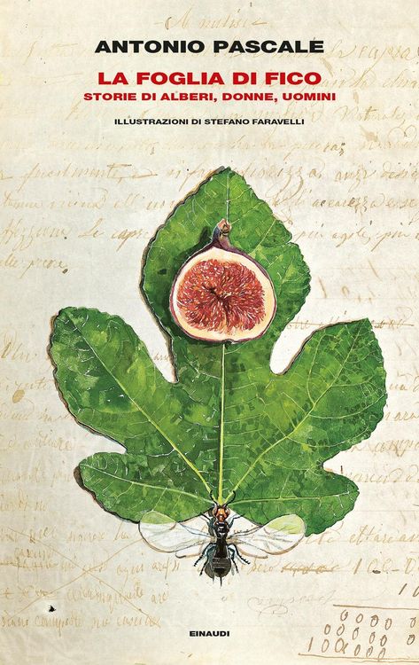 Produktbild: La foglia di fico. Storie di alberi, donne, uomini