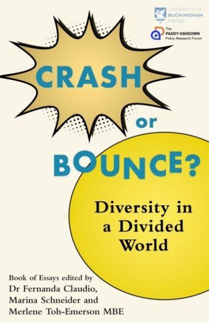Produktbild: Crash or Bounce