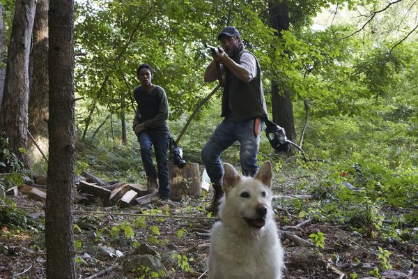 Produktbild: It comes at night