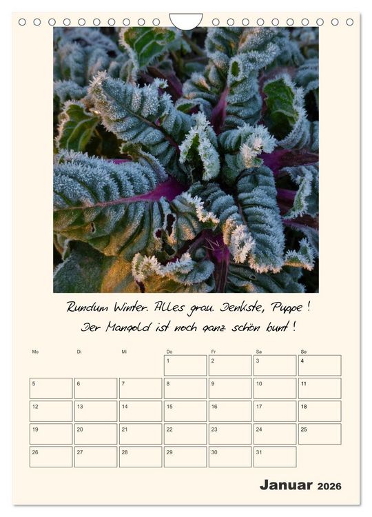 Produktbild: Gartengeschichten (Wandkalender 2026 DIN A4 hoch), CALVENDO Monatskalender