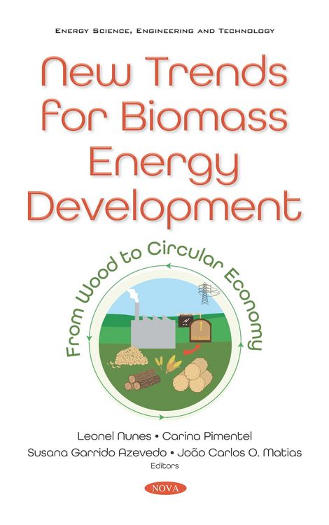 Produktbild: New Trends for Biomass Energy Development: From Wood to Circular Economy