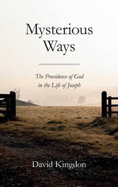 Produktbild: Mysterious Ways: The Providence of God in Life of Joseph