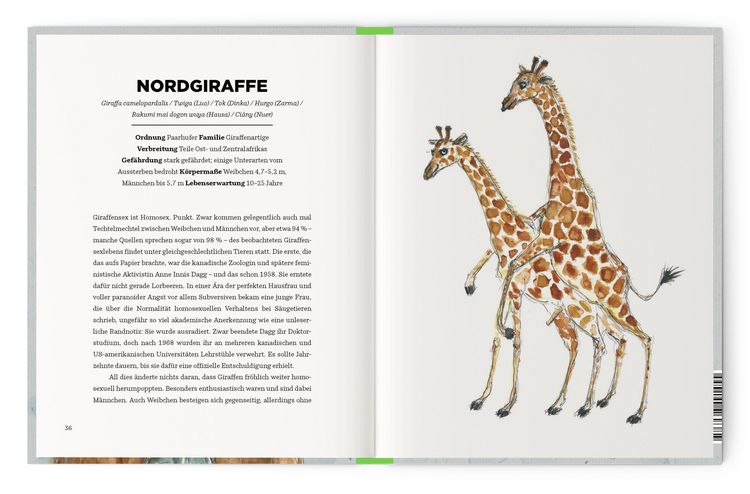 Produktbild: Queere Tiere