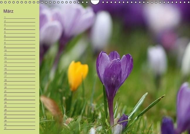 Produktbild: Geburtstagskalender (Wandkalender immerw&auml;hrend DIN A3 quer)
