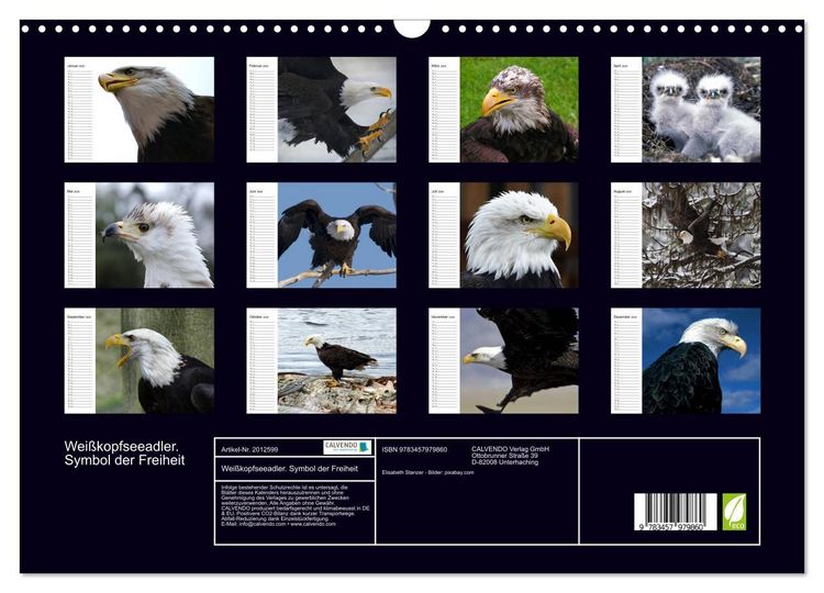 Produktbild: Wei&szlig;kopfseeadler. Symbol der Freiheit (Wandkalender 2026 DIN A3 quer), CALVENDO Monatskalender