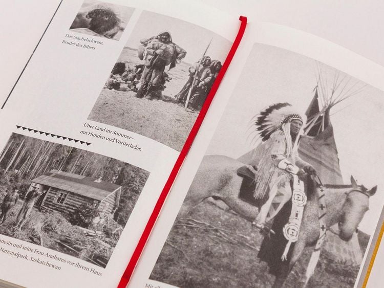 Produktbild: Pfade in der Wildnis