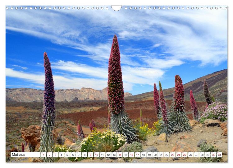 Produktbild: Teneriffa Insel der Gl&uuml;ckseligen (Wandkalender 2026 DIN A3 quer), CALVENDO Monatskalender