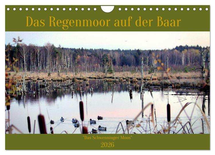 Produktbild: Das Regenmoor auf der Baar (Wandkalender 2026 DIN A4 quer), CALVENDO Monatskalender