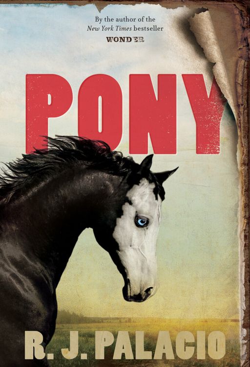 Produktbild: Pony