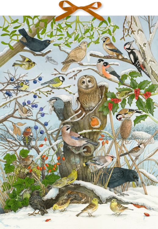 Produktbild: Sound-Adventskalender &ndash; Unsere V&ouml;gel im Winter