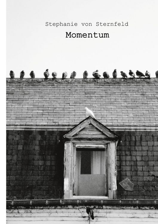 Produktbild: Momentum