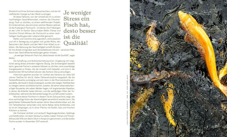 Produktbild: Ch&uuml;e, H&auml;rd&ouml;pfel & Heug&uuml;mper