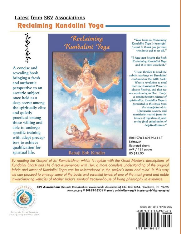 Produktbild: Nectar of Nondual Truth #28; A Journal of Universal Religious and Philosphical Teachings