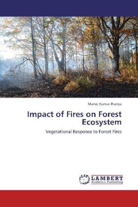 Produktbild: Jhariya, M: Impact of Fires on Forest Ecosystem
