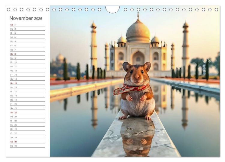 Produktbild: Nagertrip - Ein kleiner Hamster entdeckt die gro&szlig;e Welt (Wandkalender 2026 DIN A4 quer), CALVENDO Monatskalender