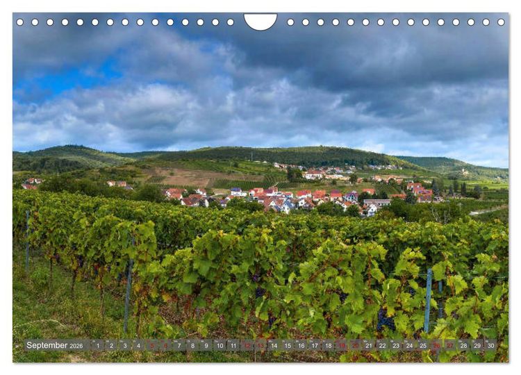 Produktbild: Weinland Pfalz - Region S&uuml;dliche Weinstra&szlig;e (Wandkalender 2026 DIN A4 quer), CALVENDO Monatskalender