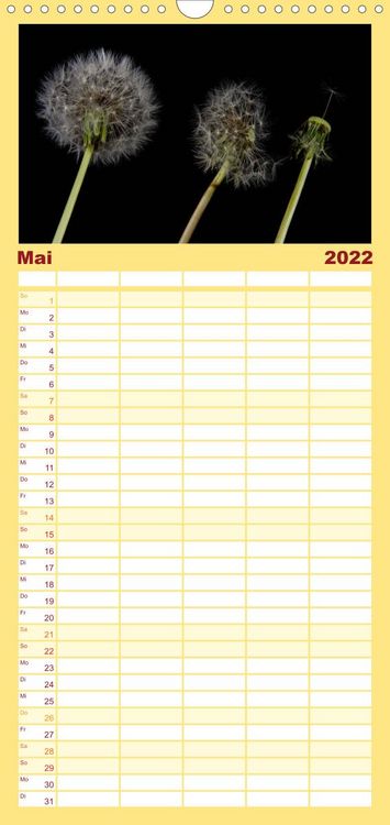 Produktbild: Familienplaner Ver&auml;ndertes (Wandkalender 2022 , 21 cm x 45 cm, hoch)